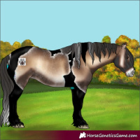 Horse Color:Liver Red Onyx Tobiano Rabicano 