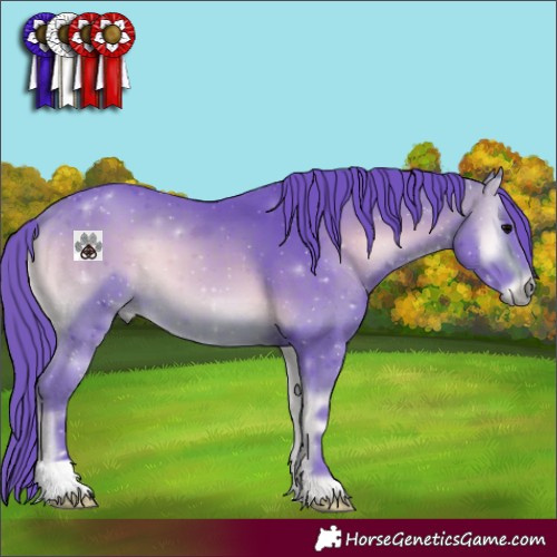 Horse Color:Watercolor Bay Onyx 