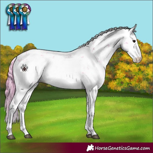 Horse Color:Watercolor Brown Sabino 