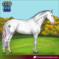Horse Color:Watercolor Brown Sabino 