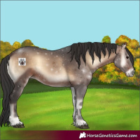 Horse Color:Brown Onyx