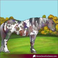 Horse Color:Nacre White Spotted Brown 