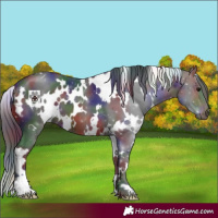 Horse Color:Nacre White Spotted Brown 