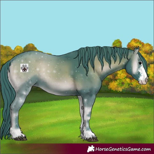 Horse Color:Watercolor Blue Onyx Sabino Rabicano 
