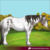 Horse Color:Liver Chestnut Sabino Tobiano Rabicano