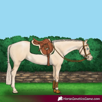 Horse Color:Palomino Pearl Dun 