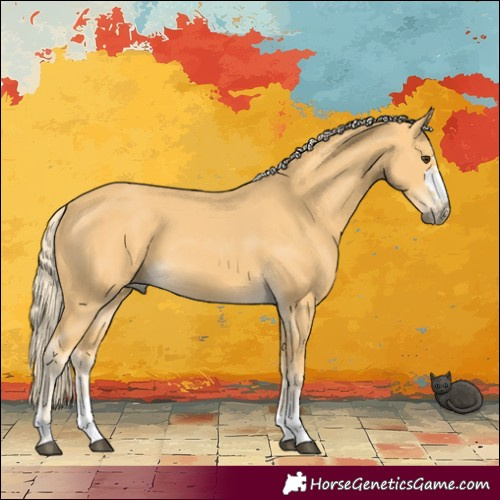 Horse Color:Palomino 