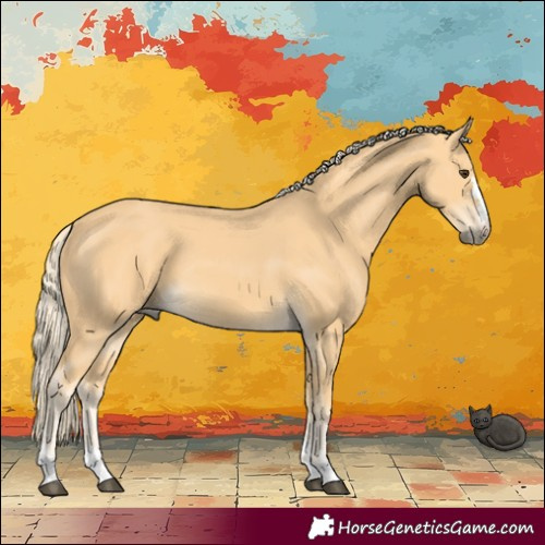 Horse Color:Palomino 