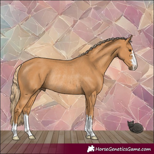 Horse Color:Chestnut Rabicano 