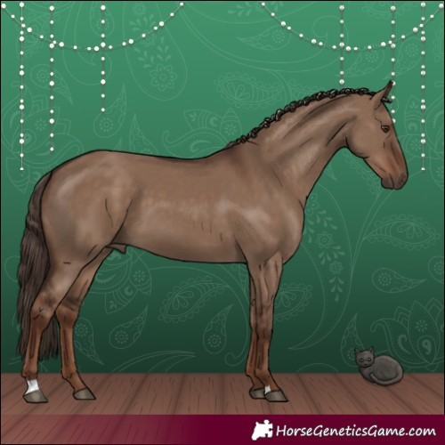 Horse Color:Liver Red Dun 