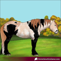 Horse Color:ERROR: UNKNOWN ANOMALY