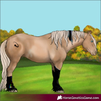 Horse Color:ERROR: UNKNOWN ANOMALY