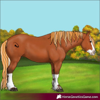 Horse Color:Painted Silver Bay Splash