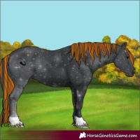Horse Color:Painted Black
