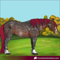 Horse Color:Painted Brown 