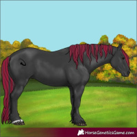 Horse Color:Painted Black 