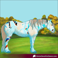 Horse Color:Painted Thunderstruck White Spotted Buckskin Splash Blanket 