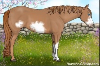 Horse Color:Chestnut Frame 
