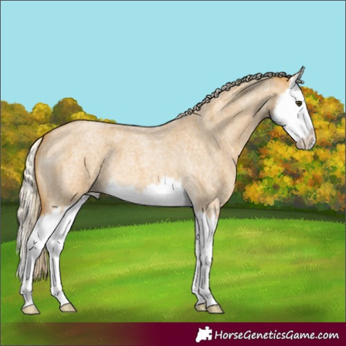 Horse Color:Palomino Roan Dun Splash 