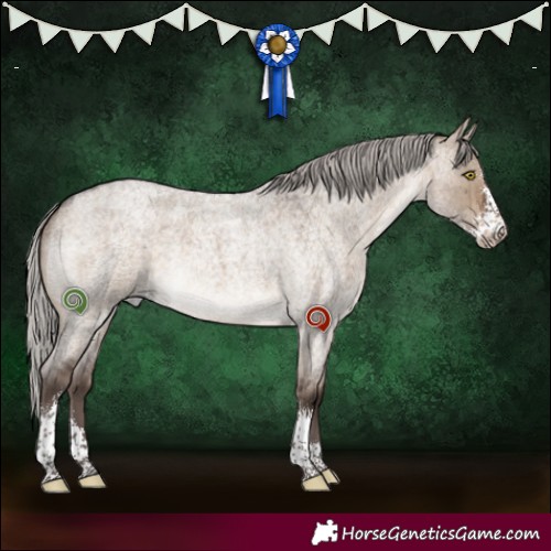 Horse Color:Silver Brown Roan Dun Sabino Rabicano Brindle 