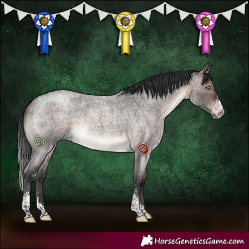 Horse Color:Brown Roan Dun Mushroom Sabino Rabicano Brindle 