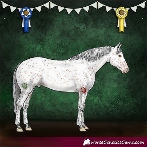 Horse Color:Brown Dun Mushroom Sabino Brindle 