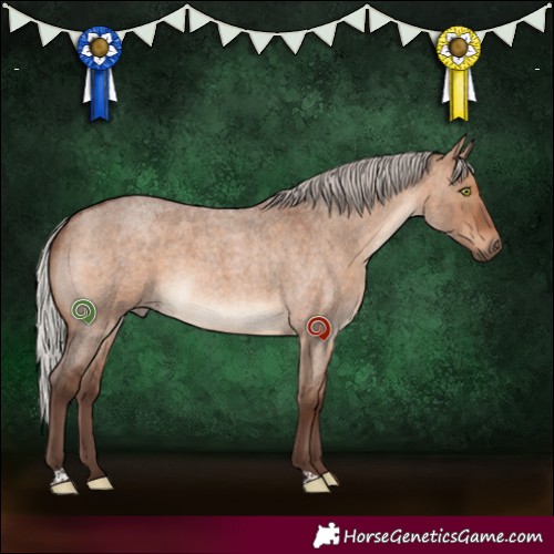 Horse Color:Silver Brown Roan Dun 