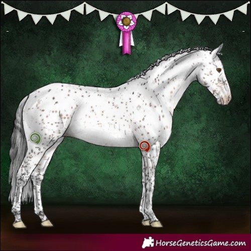 Horse Color:Brown Dun Mushroom Sabino Rabicano Brindle 