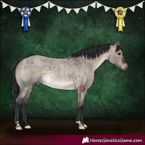 Horse Color:Brown Roan Dun Rabicano 