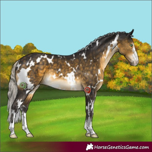 Horse Color:White Spotted Silver Buckskin Mushroom Sabino 