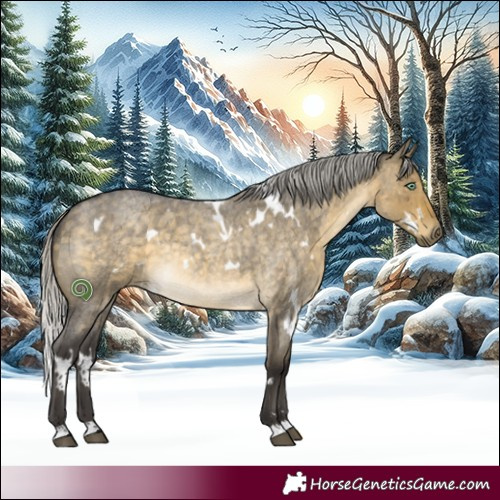 Horse Color:White Spotted Silver Buckskin Roan Dun Mushroom Rabicano