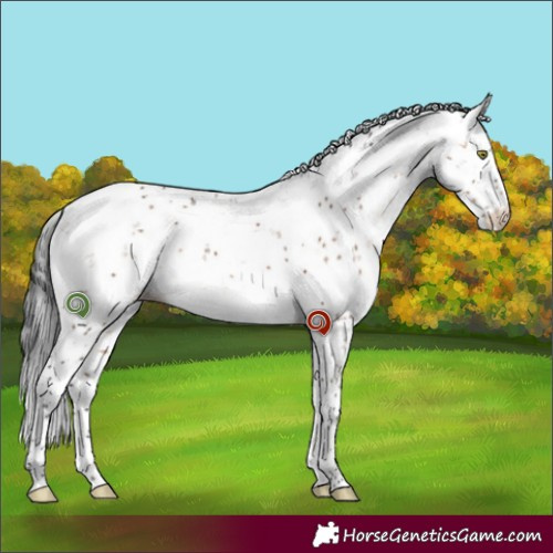 Horse Color:Brown Dun Sabino Brindle 