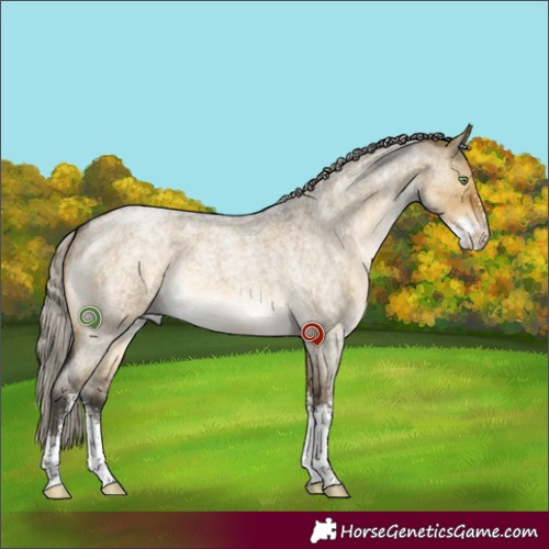 Horse Color:Silver Buckskin Roan Dun Sabino Brindle 