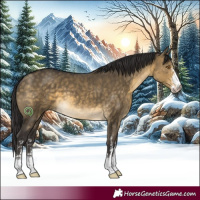 Horse Color:Buckskin Dun Sabino