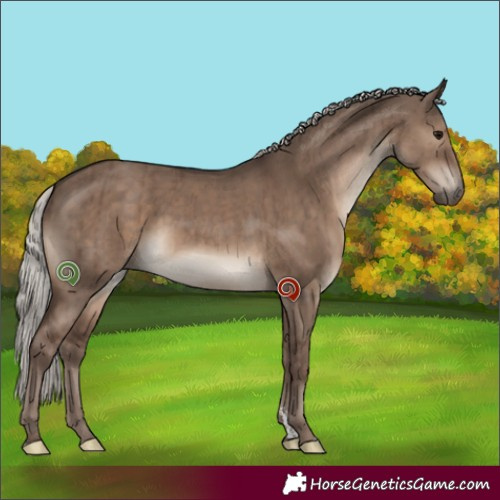 Horse Color:Silver Grullo Sabino Brindle 