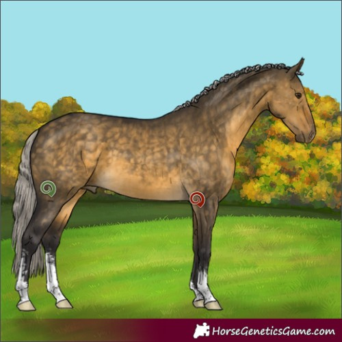 Horse Color:Silver Buckskin Dun Sabino Brindle 