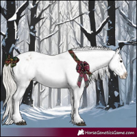 Horse Color:Silver Smoky Blue Roan Appaloosa Rabicano 