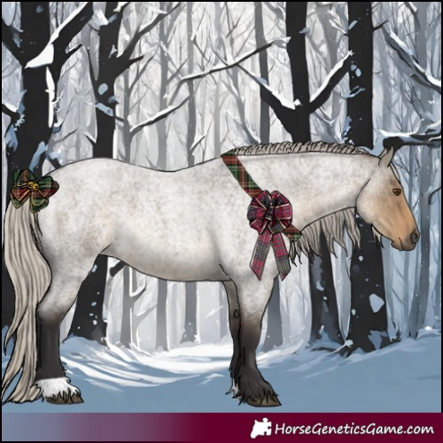 Horse Color:Silver Smoky Grullo Roan