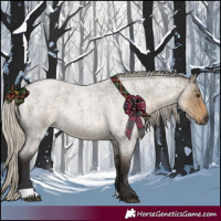 Horse Color:Silver Smoky Grullo Roan 