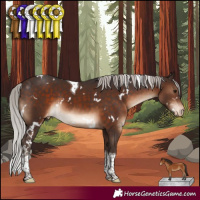 Horse Color:White Spotted Silver Brown Tobiano Appaloosa Rabicano 