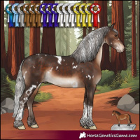 Horse Color:White Spotted Silver Brown Tobiano Varnish Rabicano