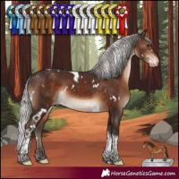 Horse Color:White Spotted Silver Brown Tobiano Appaloosa Rabicano 