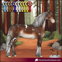 Horse Color:White Spotted Silver Brown Tobiano Appaloosa Rabicano 