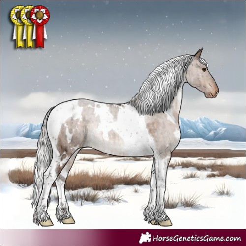 Horse Color:White Spotted Silver Brown Dun Tobiano Varnish Rabicano Brindle
