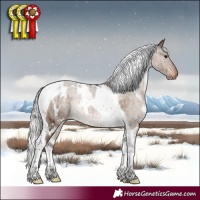 Horse Color:White Spotted Silver Brown Dun Tobiano Varnish Rabicano Brindle 