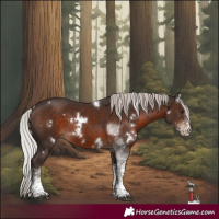 Horse Color:White Spotted Silver Brown