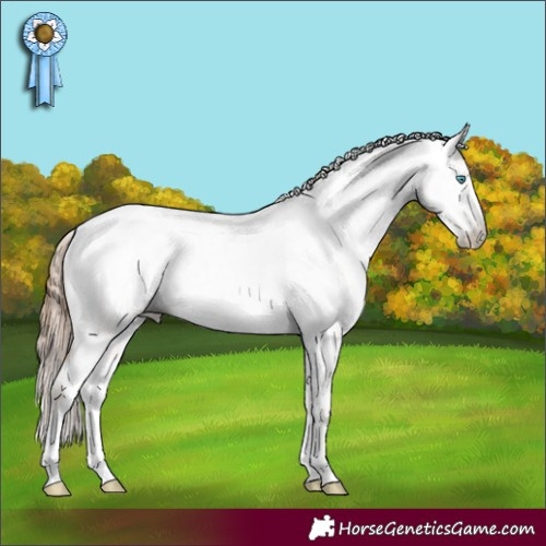 Horse Color:Gray White Spotted Amber Champagne Roan Pearl Appaloosa 