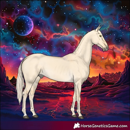 Horse Color:Palomino Dun 