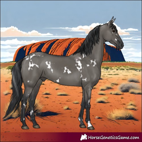 Horse Color:White Spotted Grullo 