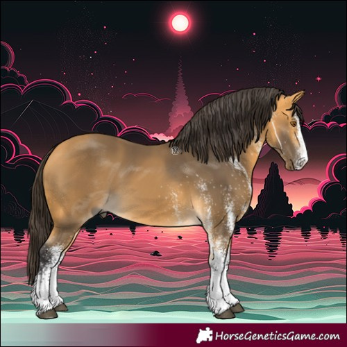 Horse Color:White Spotted Buckskin 